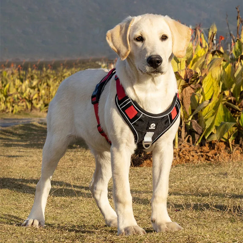 Adjustable Harness Dog Reflective Safety Training and Walking