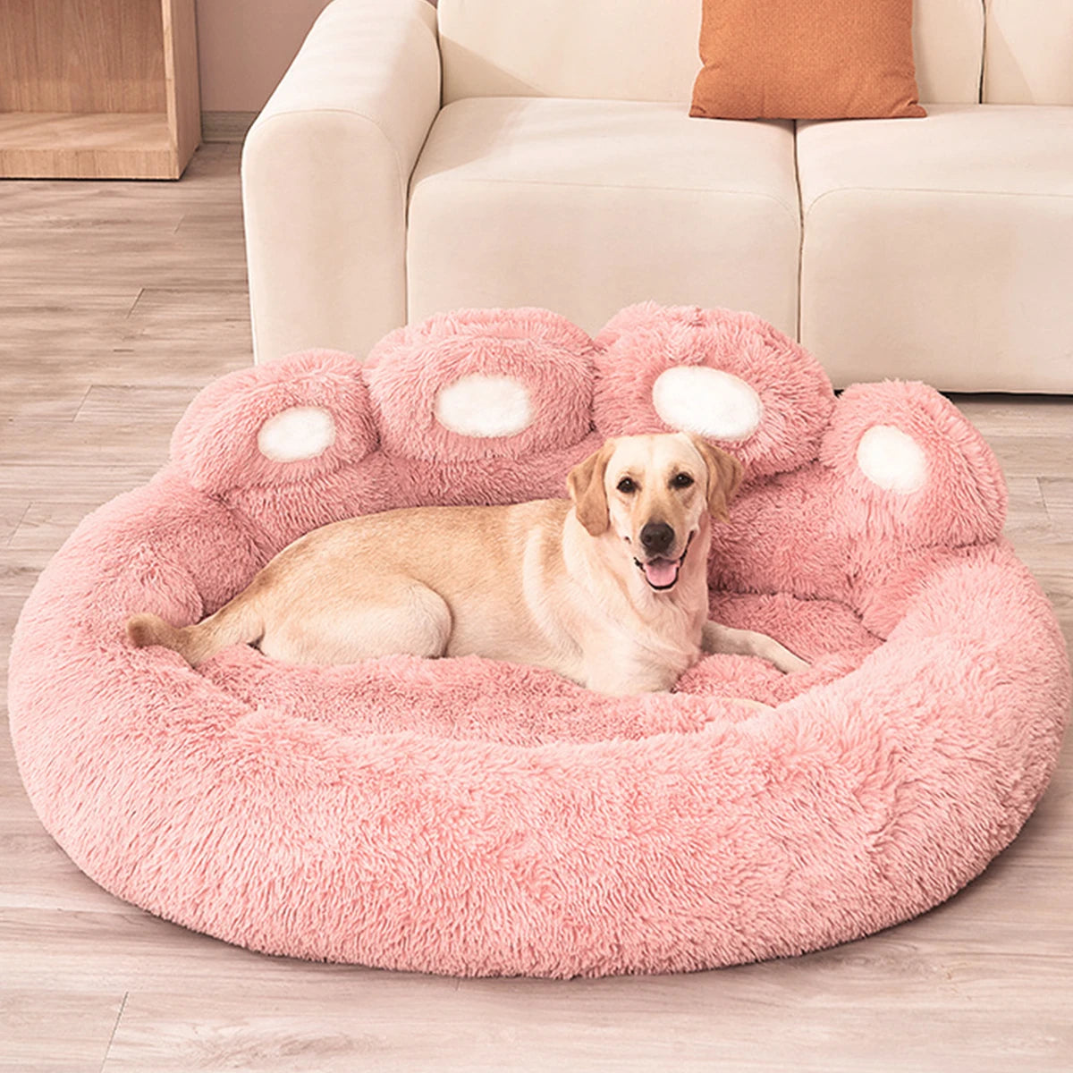 Sofa Beds for Dogs and Cats