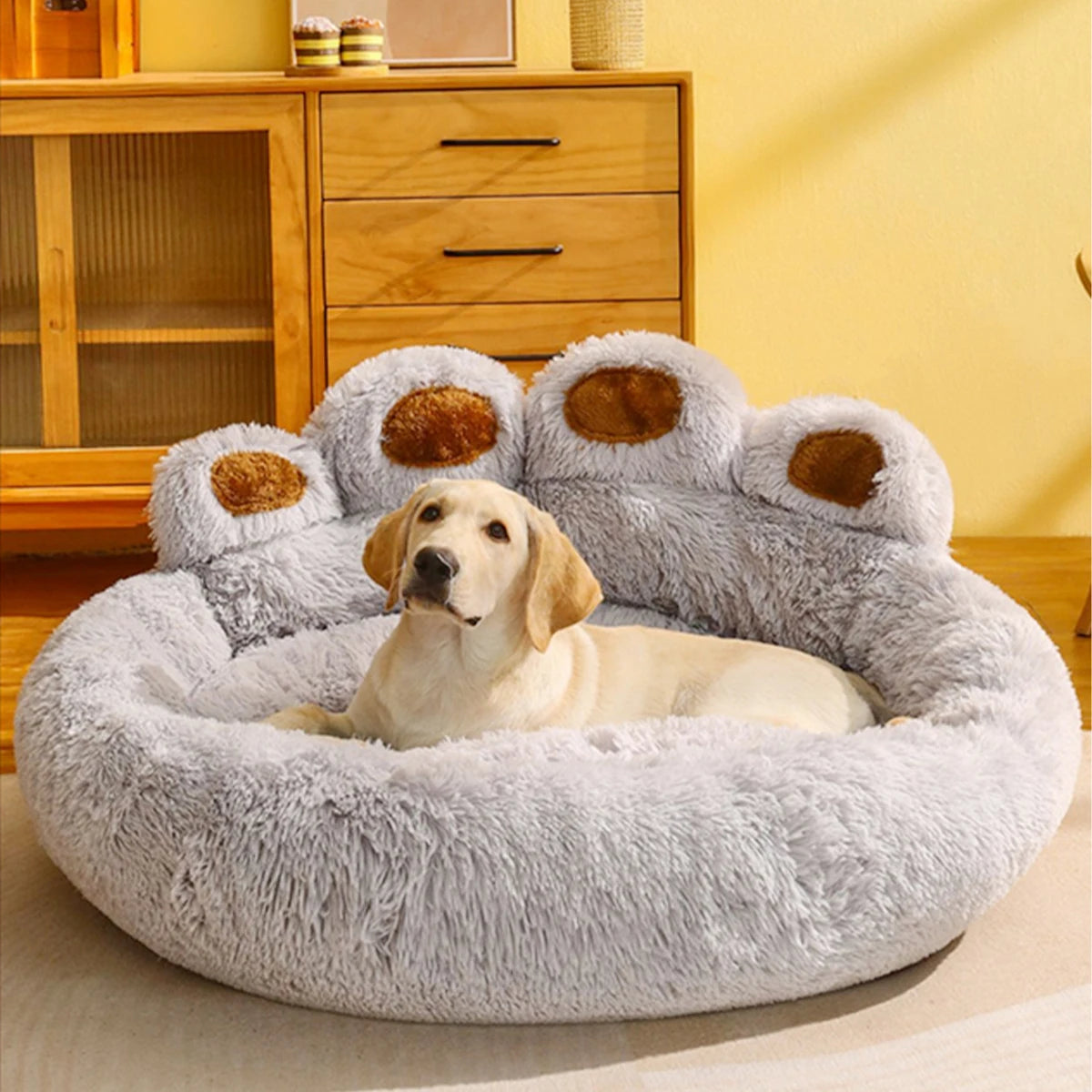 Sofa Beds for Dogs and Cats