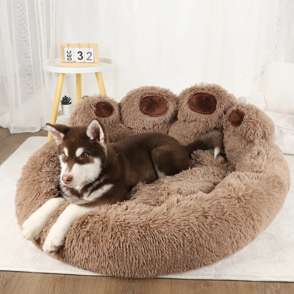 Sofa Beds for Dogs and Cats